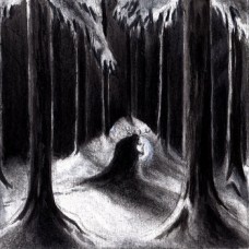 HAVUKRUUNU - Havulinnaan (2025) CD